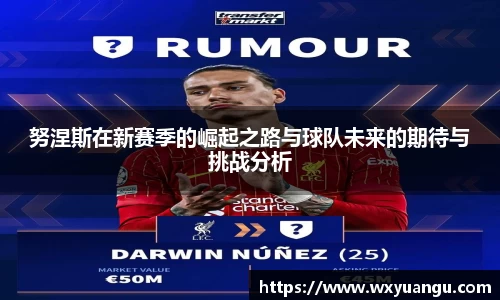 努涅斯在新赛季的崛起之路与球队未来的期待与挑战分析