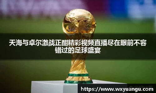 天海与卓尔激战正酣精彩视频直播尽在眼前不容错过的足球盛宴